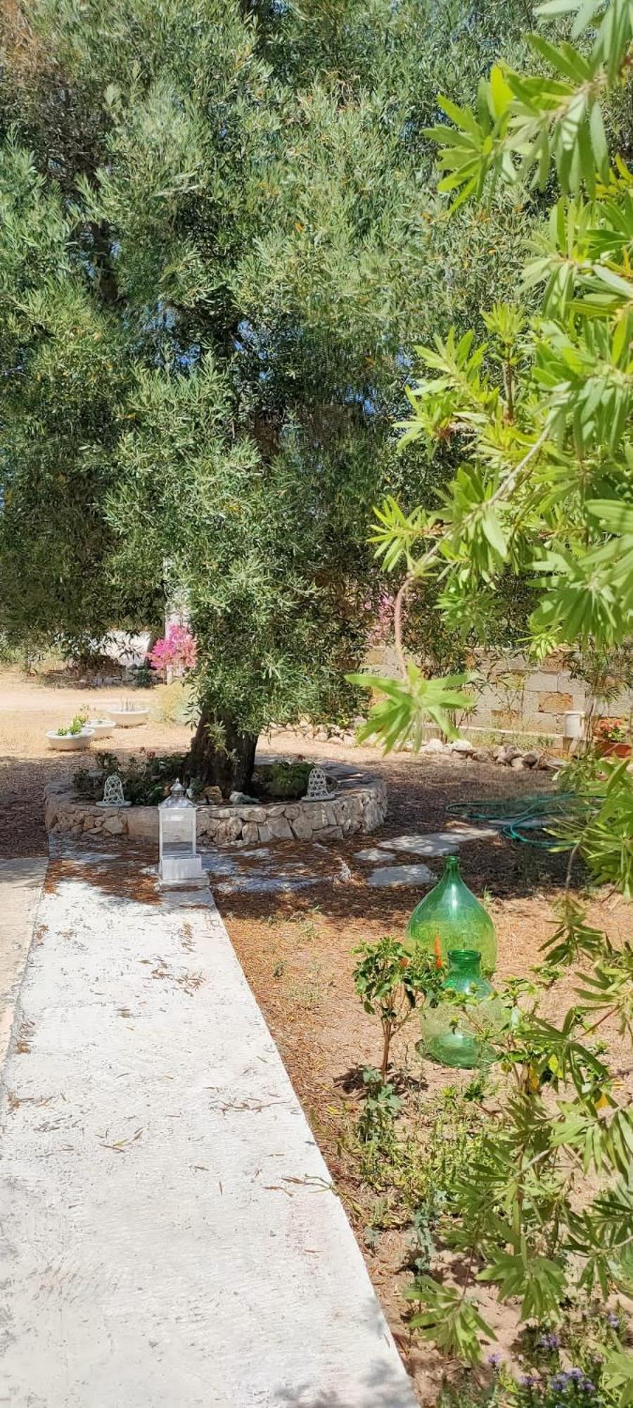 Trullo Alessandro E Villa Raffaela San Vito dei Normanni Cameră foto
