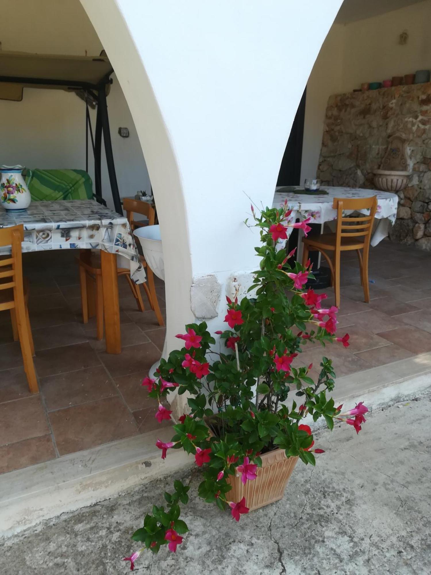 Trullo Alessandro E Villa Raffaela San Vito dei Normanni Cameră foto